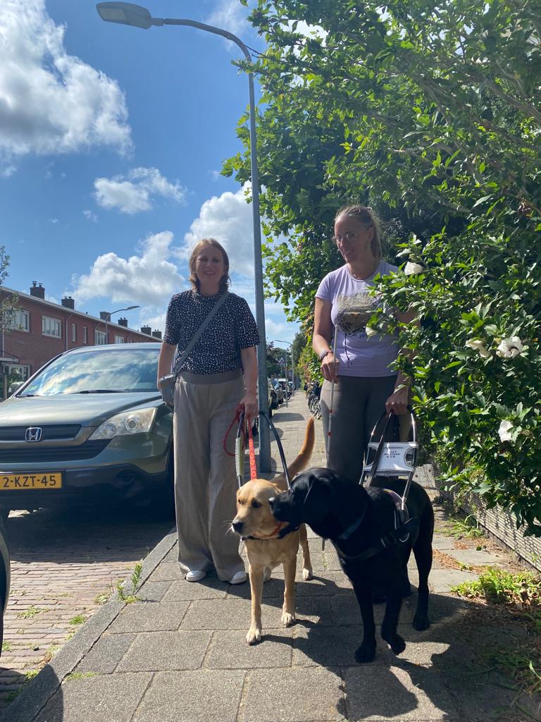 Foto van Elian (rechts) en Debby (links die met hun blindengeleidehonden, Lola en Tarka, over straat lopen in Haarlem. Ze lopen naar de camera toe. Lola is een blonde labrador en Tarka is een zwarte labrador.