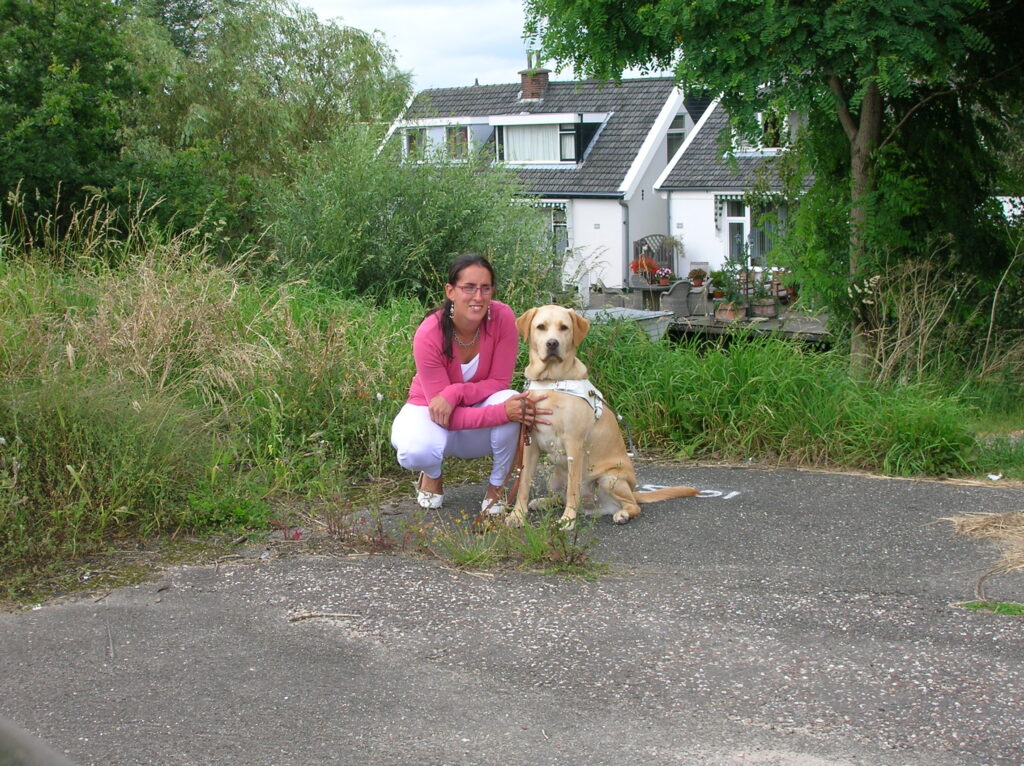 Foto van een hurkende Debby met naast haar blonde labrador Tobias in tuig, die rechtop zit. Op de achtergrond zie je gras en wit-groene Zaanse huizen.