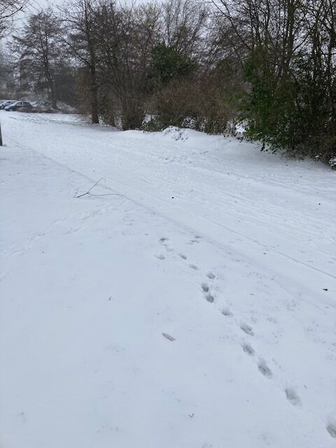 Foto van een pad, waar de stenen slecht te voelen zijn met je voeten, omdat er sneeuw op ligt.