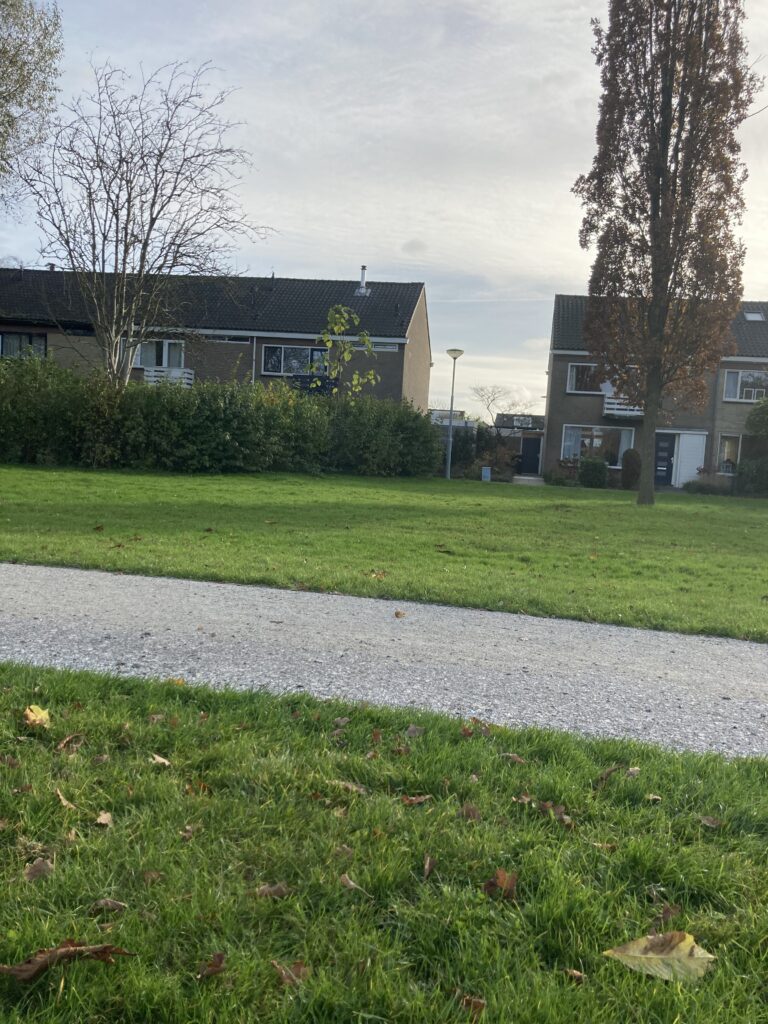 Een foto van een grasveld met daardoorheen een stenen pad.